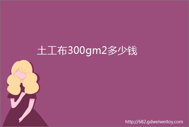 土工布300gm2多少钱