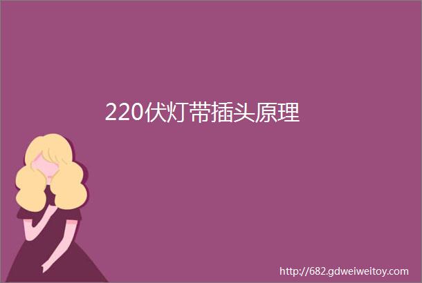 220伏灯带插头原理