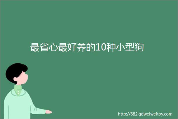 最省心最好养的10种小型狗