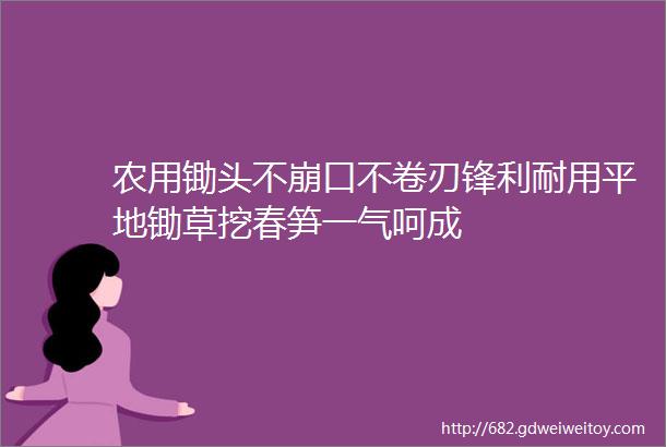 农用锄头不崩口不卷刃锋利耐用平地锄草挖春笋一气呵成