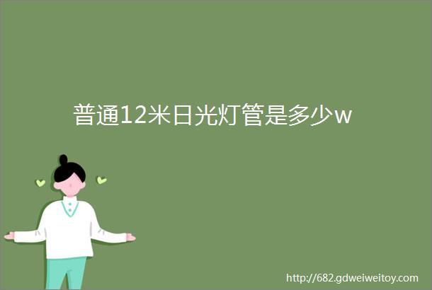 普通12米日光灯管是多少w