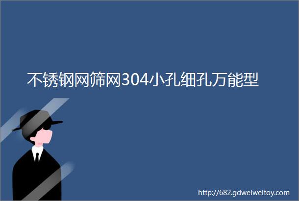 不锈钢网筛网304小孔细孔万能型