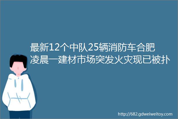 最新12个中队25辆消防车合肥凌晨一建材市场突发火灾现已被扑灭