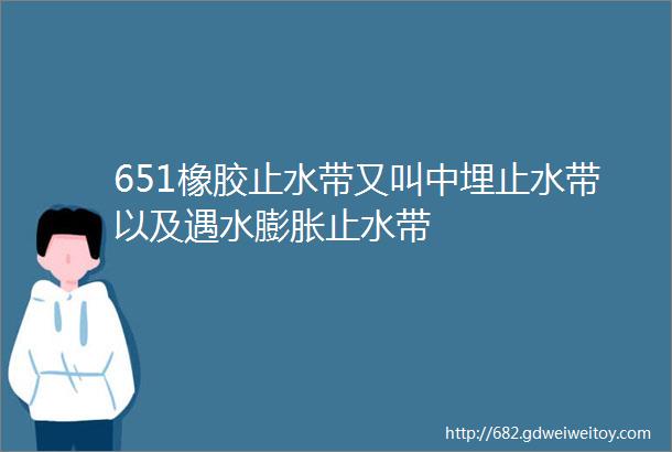 651橡胶止水带又叫中埋止水带以及遇水膨胀止水带