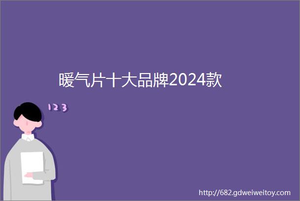 暖气片十大品牌2024款